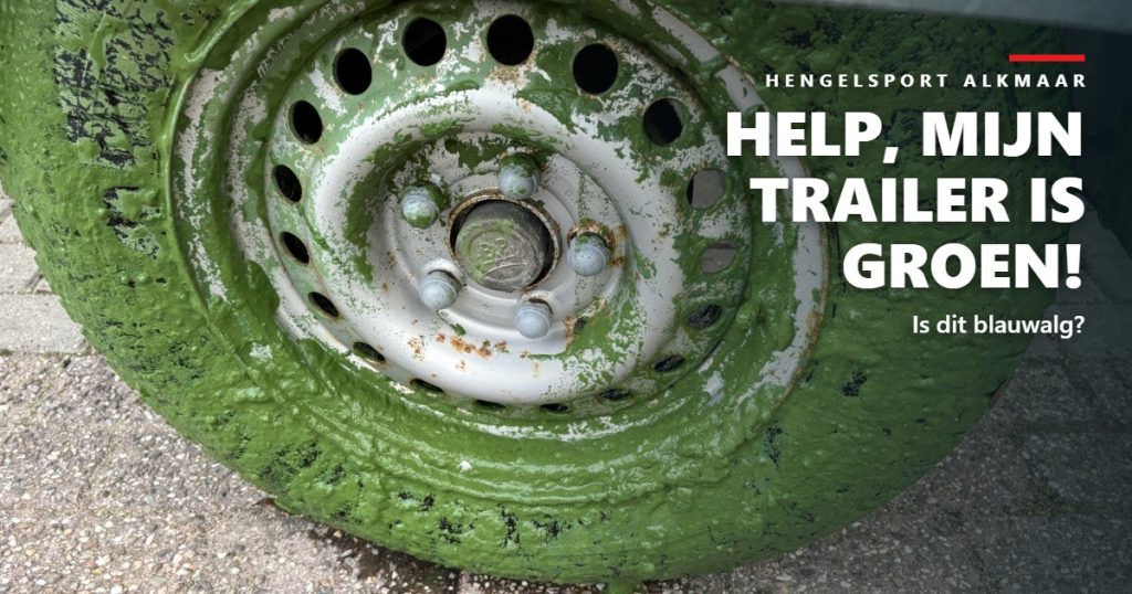 Groene drijflaag op boottrailer: is het blauwalg?